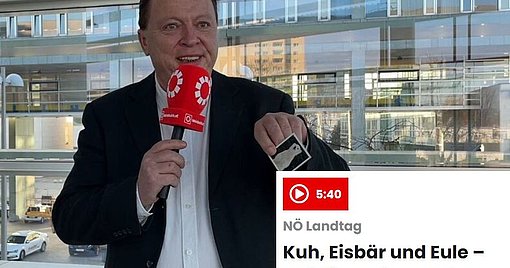 SPÖ-Weninger will ein Eisbär sein